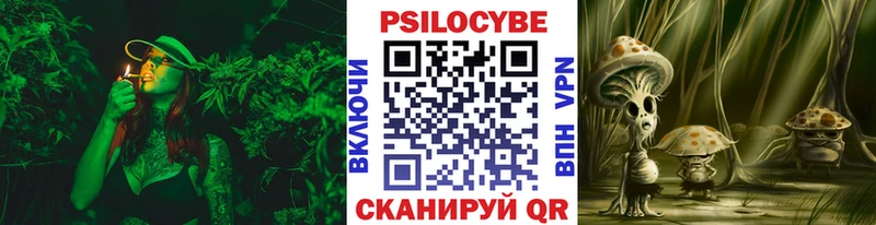 Галлюциногенные грибы Psilocybine cubensis  ссылка на мегу сайт  это официальный сайт  Нахабино 